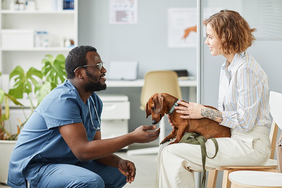 Business Insurance - Veterinarian Talking with a Client in the Office As the Client Holds their Pet and the Pet is Sniffing the Veterinarians Hand